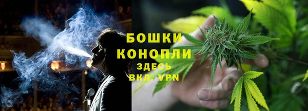 эйфоретик Горняк