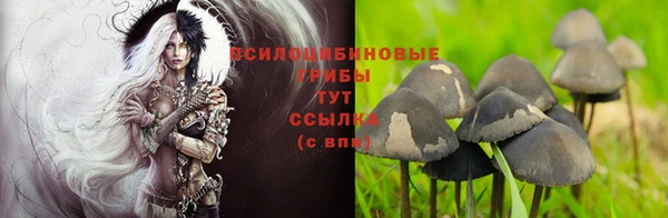 шишки Вяземский