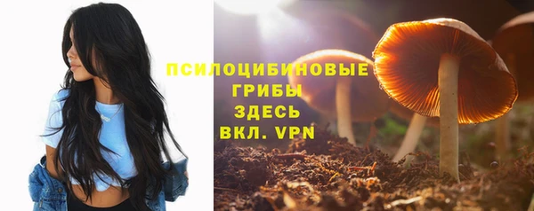 эйфоретик Горняк