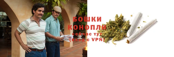 прущий лед Вязьма