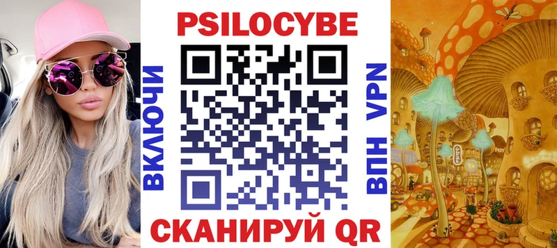 Галлюциногенные грибы Psilocybine cubensis Шадринск