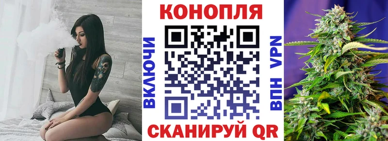 сколько стоит  Шадринск  Бошки марихуана OG Kush 